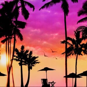 WOMENS TOPS LIVE SHOW!!